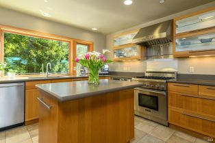 Single Family Residence,  Larkspur Close none, Sea Ranch, CA 95497 - 12