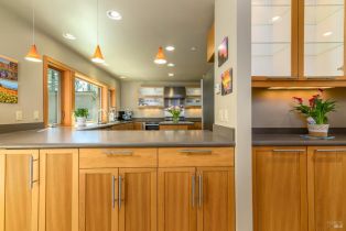 Single Family Residence,  Larkspur Close none, Sea Ranch, CA 95497 - 15