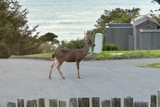 Single Family Residence,  Larkspur Close none, Sea Ranch, CA 95497 - 37