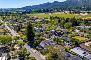 Single Family Residence,  Yount street, Yountville, CA 94599 - 45
