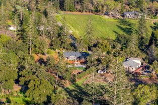 Single Family Residence,  White Cottage road, Angwin, CA 94508 - 60
