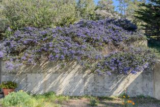 Single Family Residence,  Hedgegate road, Sea Ranch, CA 95497 - 37