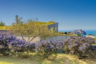 Single Family Residence,  Hedgegate road, Sea Ranch, CA 95497 - 38