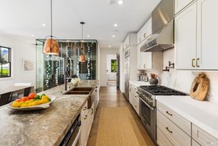 Single Family Residence,  Red Winery road, Healdsburg, CA 95441 - 5