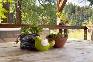 Single Family Residence,  Guernewood road, Russian River, CA 95446 - 31