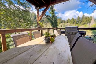 Single Family Residence,  Guernewood road, Russian River, CA 95446 - 35