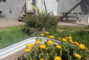Single Family Residence,  Bodega avenue, Petaluma, CA 94952 - 48