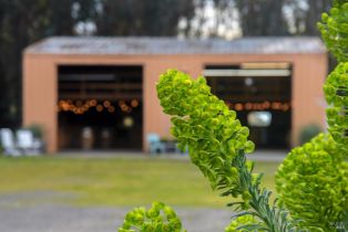 Single Family Residence,  Bodega avenue, Petaluma, CA 94952 - 22