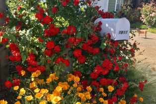 Single Family Residence,  Emerald drive, Calistoga, CA 94515 - 3