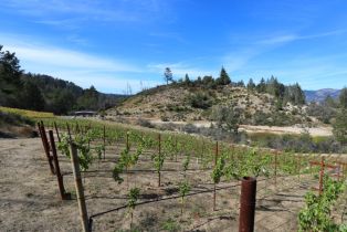 Single Family Residence,  Diamond Mountain road, Calistoga, CA 94515 - 60