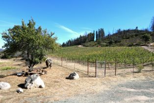 Single Family Residence,  Diamond Mountain road, Calistoga, CA 94515 - 55