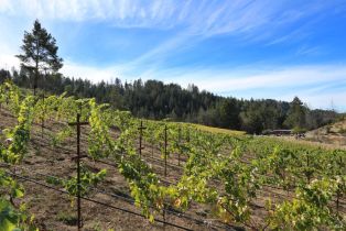 Single Family Residence,  Diamond Mountain road, Calistoga, CA 94515 - 56