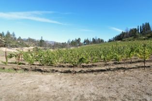 Single Family Residence,  Diamond Mountain road, Calistoga, CA 94515 - 59