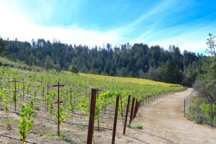 Single Family Residence,  Diamond Mountain road, Calistoga, CA 94515 - 54