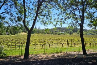 Single Family Residence, Summit Lake drive, Angwin, CA 94508 - 5