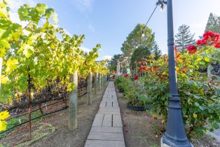 Single Family Residence,  Westview drive, Napa, CA 94558 - 31