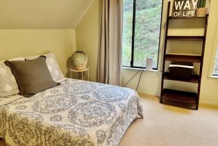 Single Family Residence,  Lake County highway, Calistoga, CA 94515 - 32