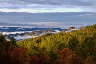 Single Family Residence,  Lake County highway, Calistoga, CA 94515 - 4