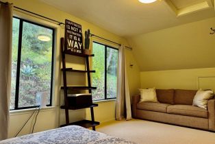 Single Family Residence,  Lake County highway, Calistoga, CA 94515 - 30