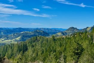 Single Family Residence,  Lake County highway, Calistoga, CA 94515 - 33
