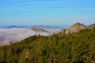 Single Family Residence,  Lake County highway, Calistoga, CA 94515 - 34