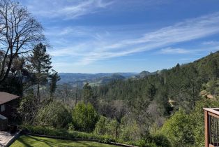 Single Family Residence,  Lake County highway, Calistoga, CA 94515 - 49