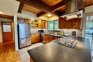 Single Family Residence,  Lake County highway, Calistoga, CA 94515 - 11