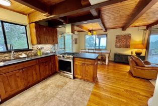 Single Family Residence,  Lake County highway, Calistoga, CA 94515 - 13