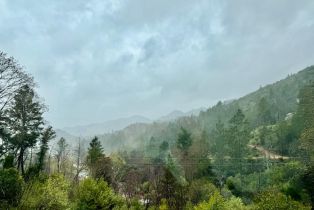 Single Family Residence,  Lake County highway, Calistoga, CA 94515 - 22