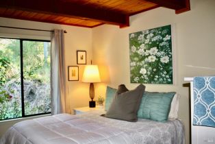 Single Family Residence,  Lake County highway, Calistoga, CA 94515 - 10