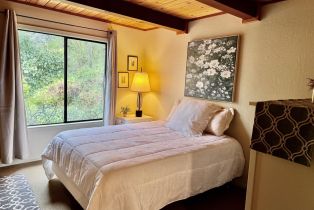 Single Family Residence,  Lake County highway, Calistoga, CA 94515 - 31