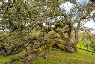 Single Family Residence, Leslie Creek lane, Santa Rosa, CA 95404 - 64
