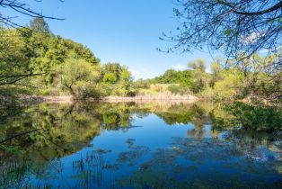 Single Family Residence, Leslie Creek lane, Santa Rosa, CA 95404 - 59