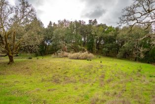 Single Family Residence, Leslie Creek lane, Santa Rosa, CA 95404 - 57
