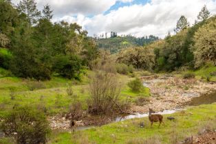 Single Family Residence, Leslie Creek lane, Santa Rosa, CA 95404 - 55