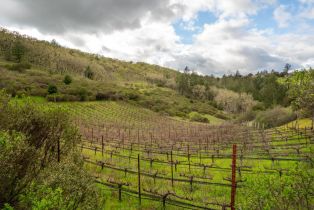 Single Family Residence, Leslie Creek lane, Santa Rosa, CA 95404 - 65