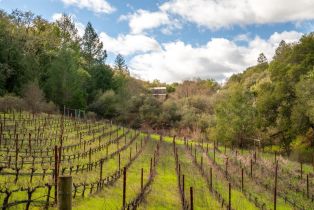 Single Family Residence, Leslie Creek lane, Santa Rosa, CA 95404 - 61