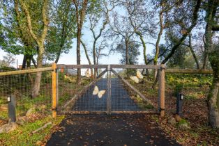 Single Family Residence,  Bardy road, Santa Rosa, CA 95404 - 32