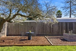 Single Family Residence,  Roosevelt street, Napa, CA 94558 - 37