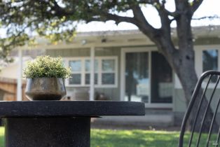 Single Family Residence,  Roosevelt street, Napa, CA 94558 - 39
