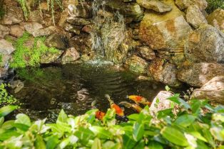 Single Family Residence,  Tee court, Healdsburg, CA 95448 - 95