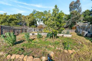 Single Family Residence,  Hooker avenue, Sonoma, CA 95476 - 22