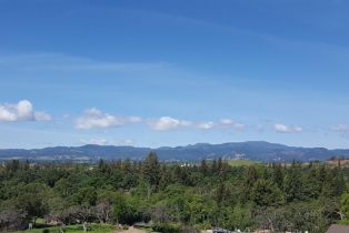 Single Family Residence,  Castle Oaks drive, Napa, CA 94558 - 3