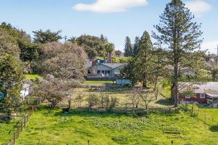 Single Family Residence,  Marshall avenue, Petaluma, CA 94952 - 50