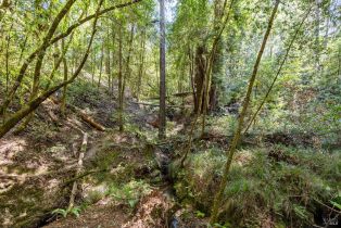 Single Family Residence,  Occidental road, Sebastopol, CA 95472 - 32