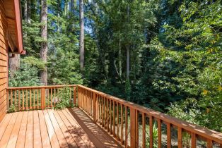 Single Family Residence,  Occidental road, Sebastopol, CA 95472 - 21