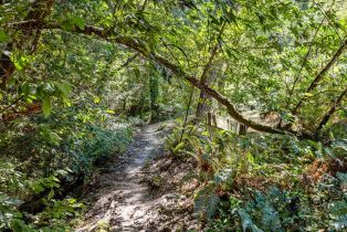 Single Family Residence,  Occidental road, Sebastopol, CA 95472 - 30