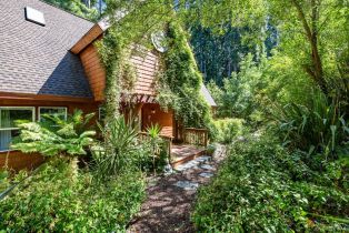 Single Family Residence, 9935 Occidental Rd, Sebastopol, CA  Sebastopol, CA 95472