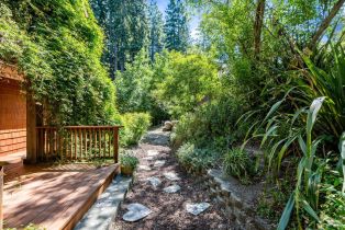 Single Family Residence,  Occidental road, Sebastopol, CA 95472 - 28