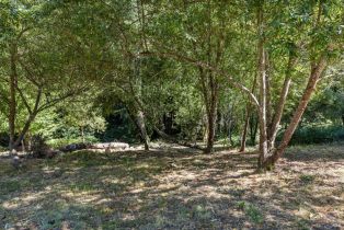 Single Family Residence,  Occidental road, Sebastopol, CA 95472 - 44